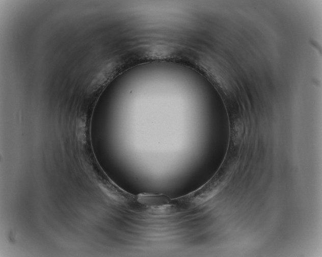 X0000097810497200803141122