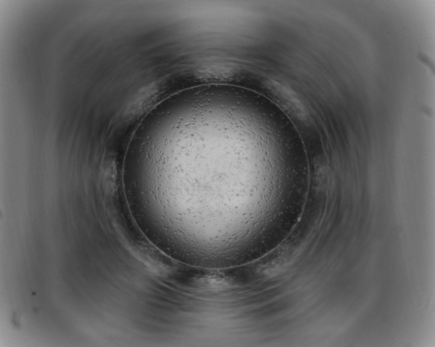 X0000097810498200803141122