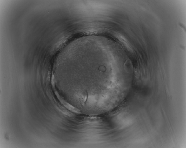 X0000097810499200803141122