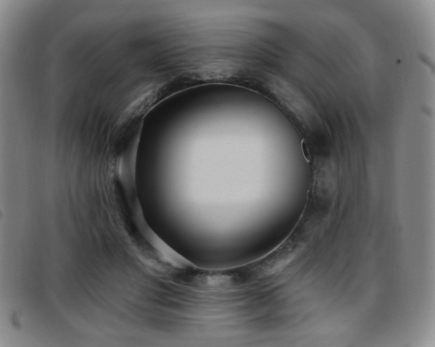 X0000097810501200803141122