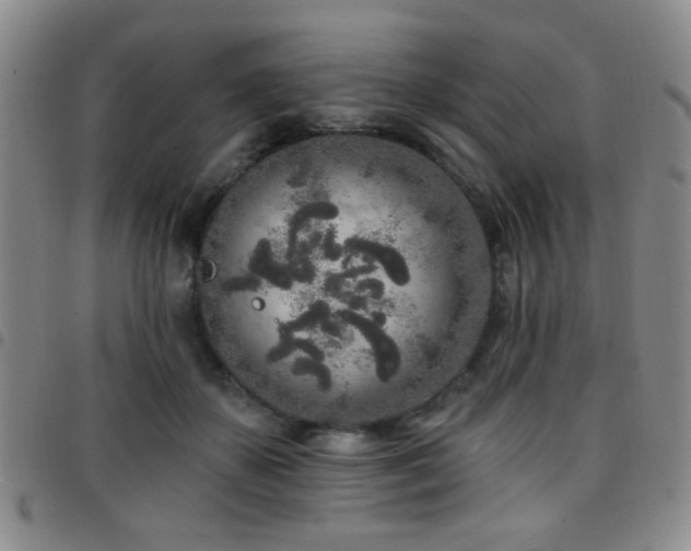 X0000097810507200803141122