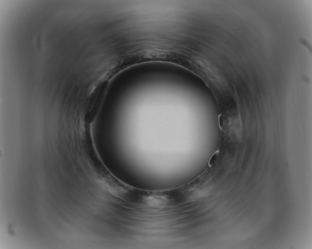X0000097810508200803141122