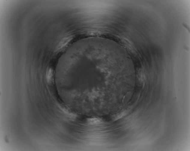 X0000097810511200803141122