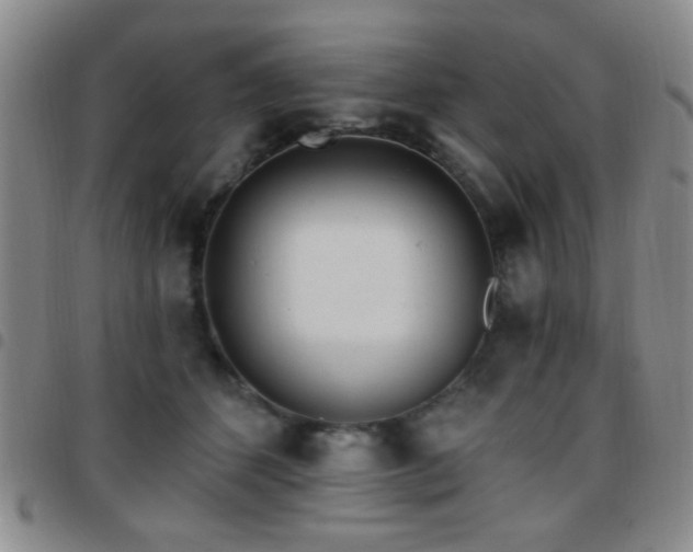 X0000097810512200803141121
