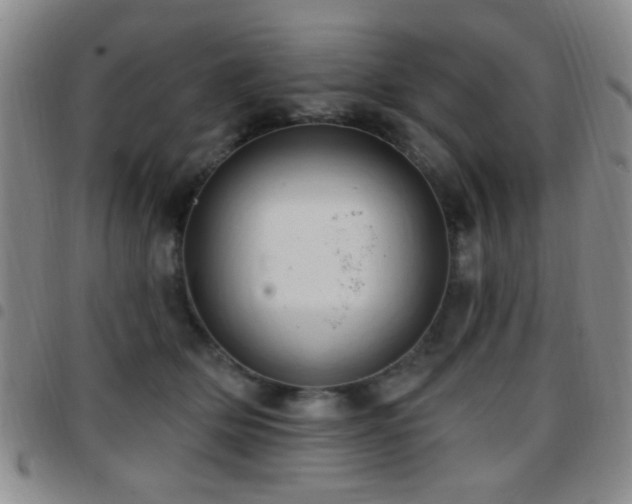 X0000097810514200803141121
