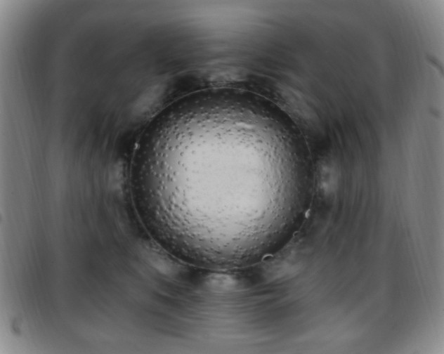 X0000097810519200803141121