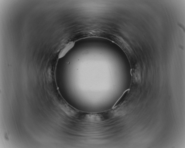 X0000097810520200803141121