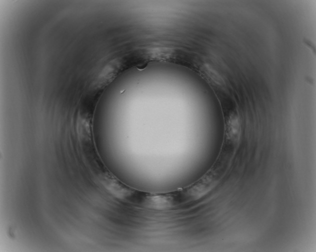 X0000097810522200803141121