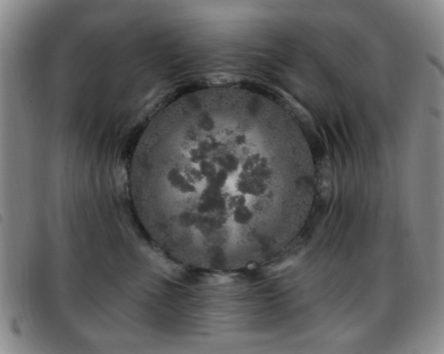 X0000097810523200803141121