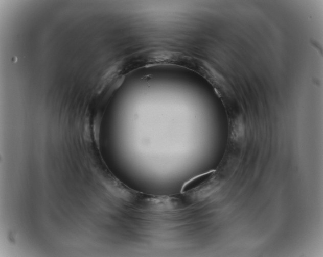 X0000097810524200803141121