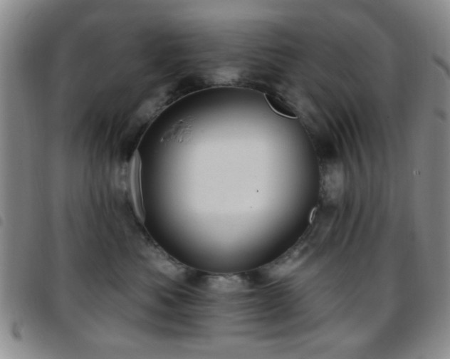 X0000097810525200803141121