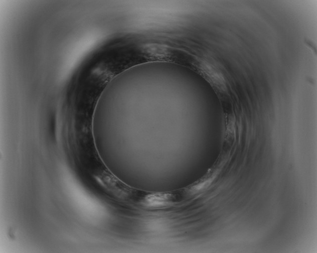 X0000097810526200803141121