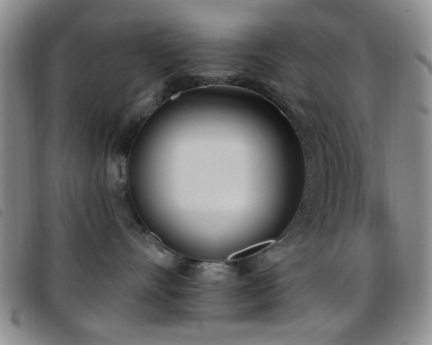 X0000097810528200803141121