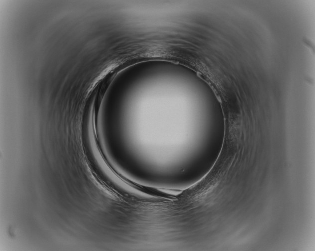 X0000097810530200803141121