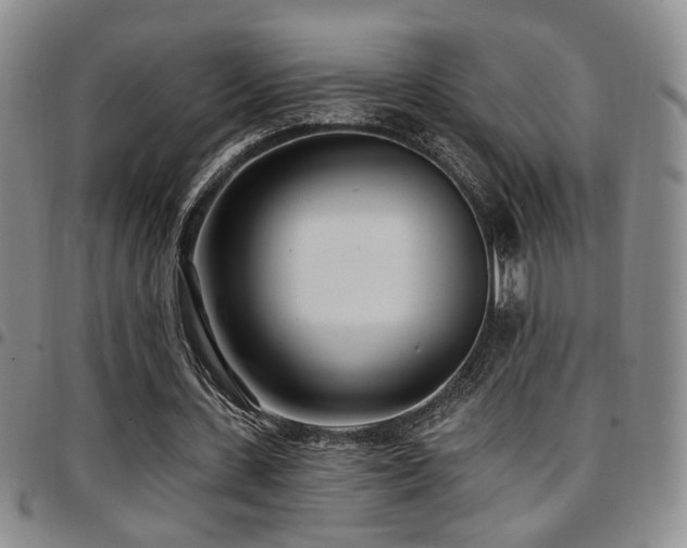 X0000097810531200803141121