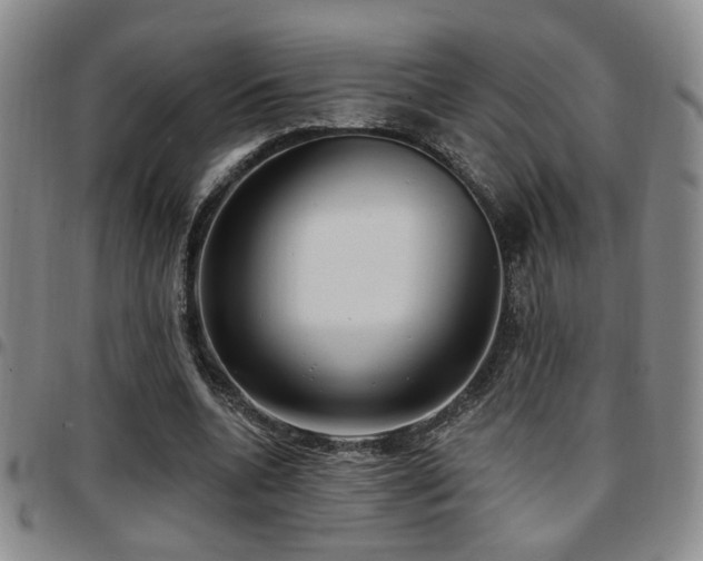X0000097810536200803141121