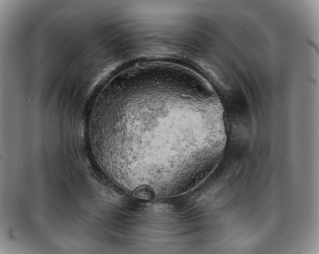 X0000097810539200803141121