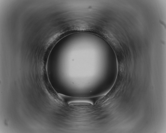 X0000097810540200803141121