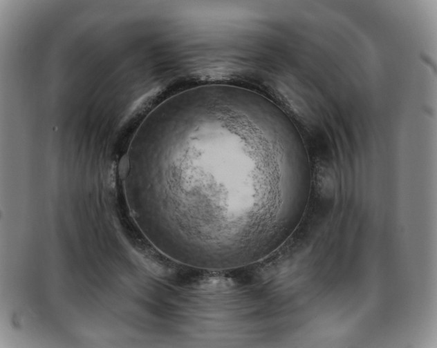 X0000097810543200803141121