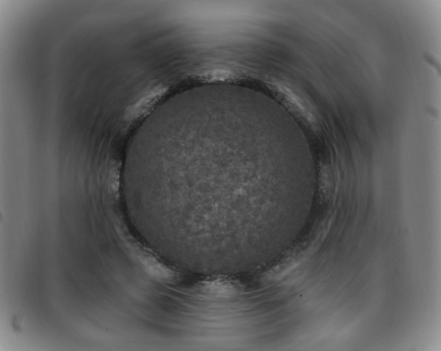 X0000097810545200803141121