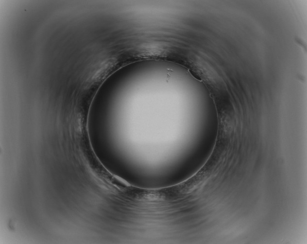X0000097810546200803141121