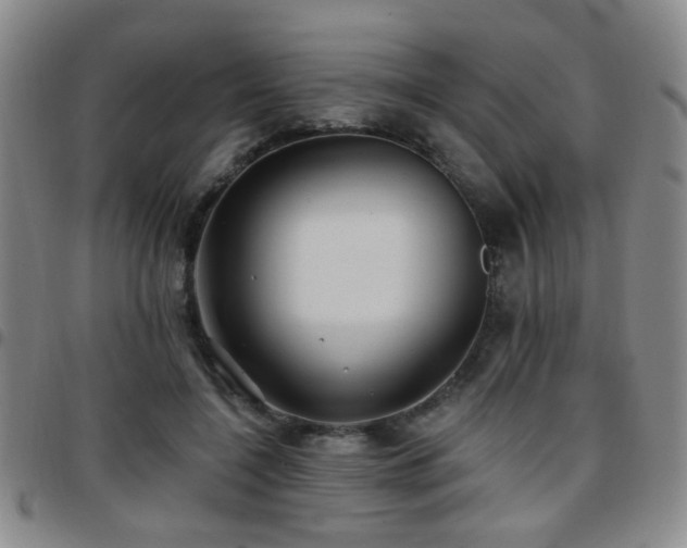 X0000097810548200803141121
