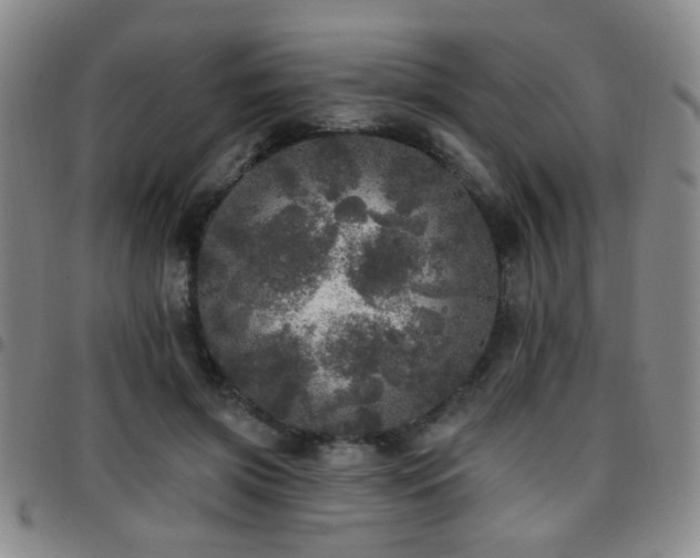X0000097810549200803141121