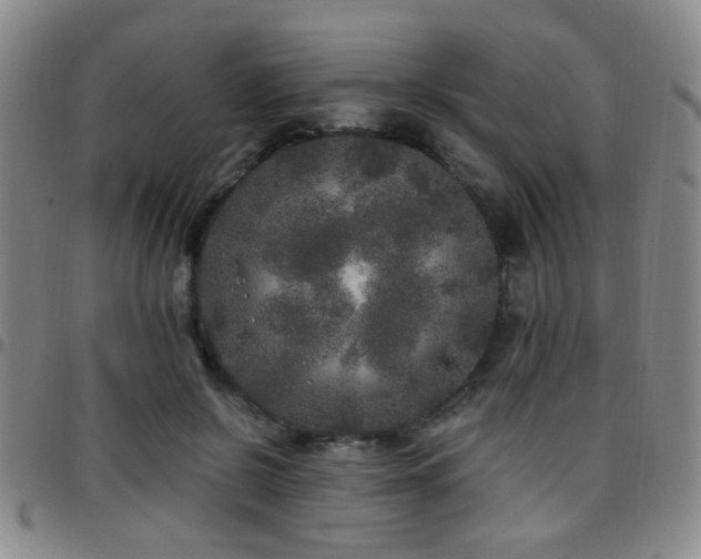 X0000097810550200803141121