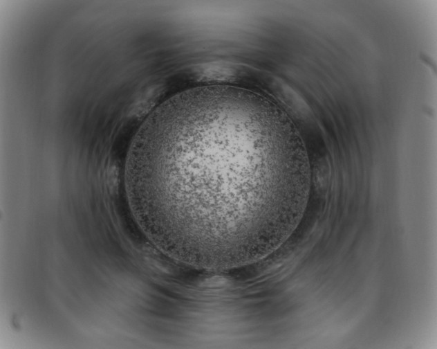 X0000097810551200803141121