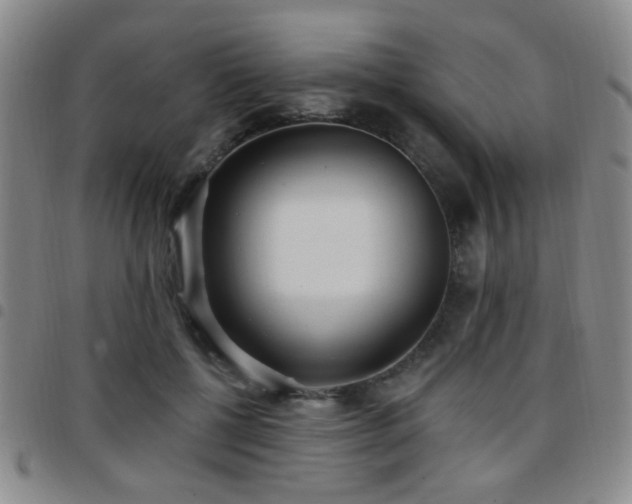 X0000097810552200803141121