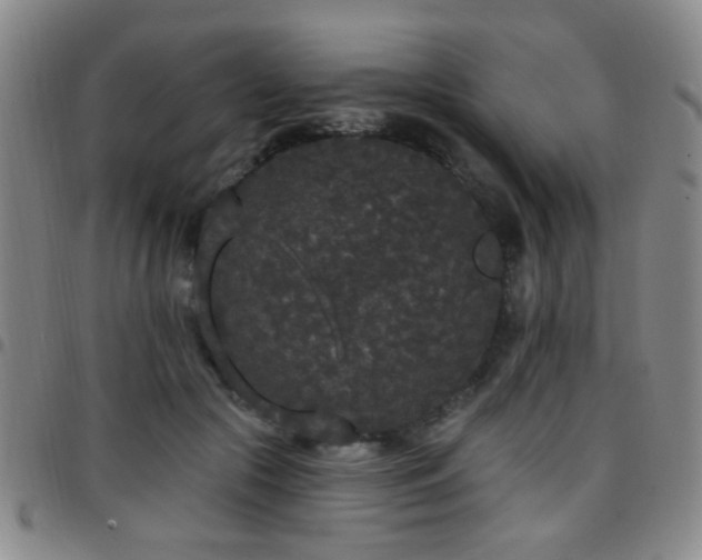 X0000097810553200803141121