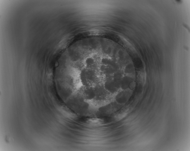 X0000097810557200803141121