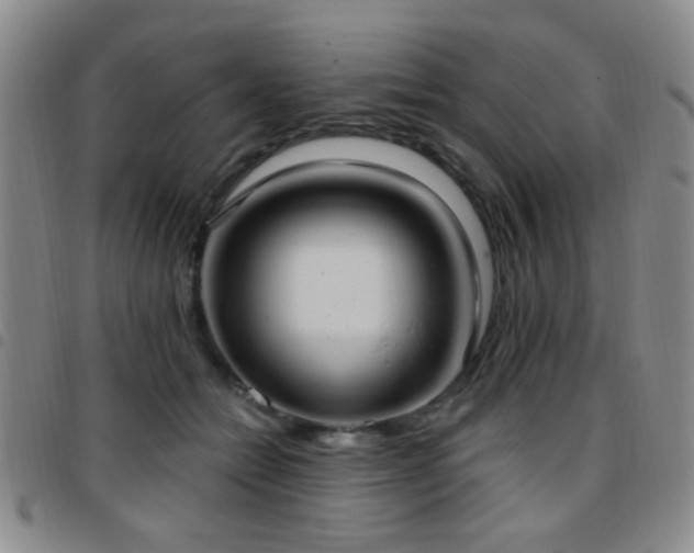 X0000097810558200803141121
