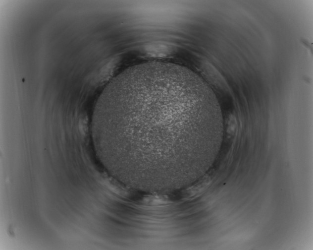 X0000097810559200803141121