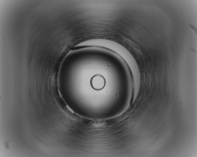 X0000097810560200803141121