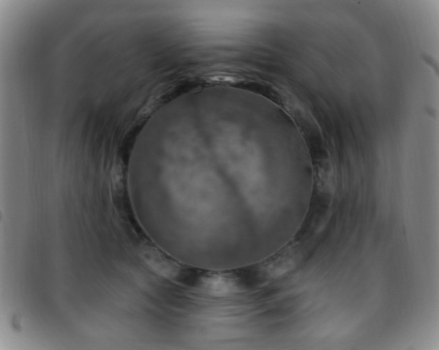 X0000097810561200803141121