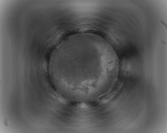 X0000097810565200803141121