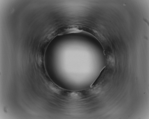 X0000097810566200803141121