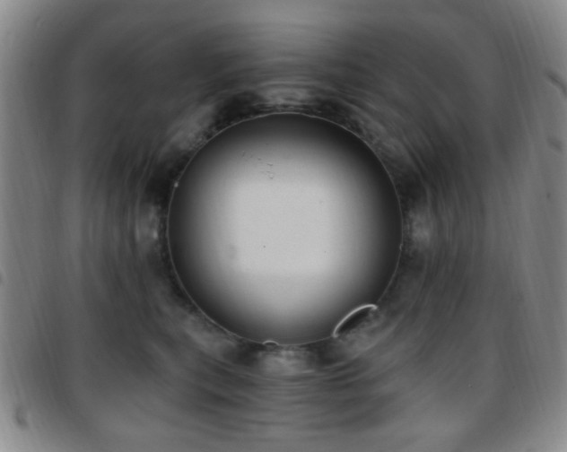 X0000097810567200803141121