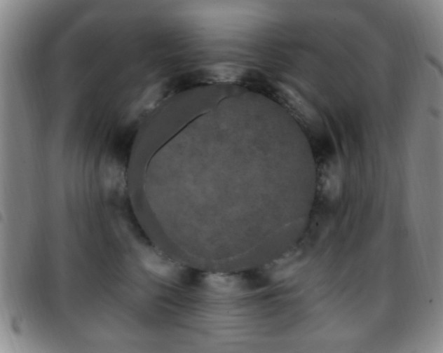X0000097810568200803141121