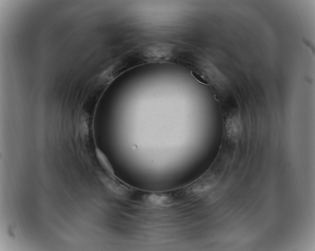 X0000097810570200803141121