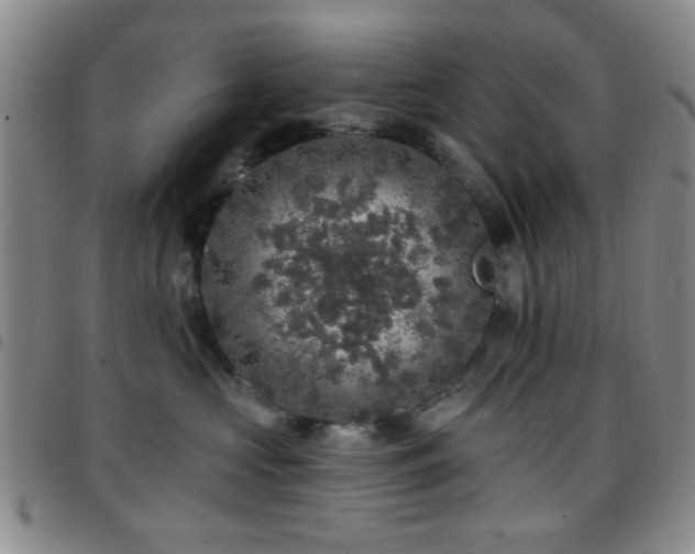X0000097810573200803141121