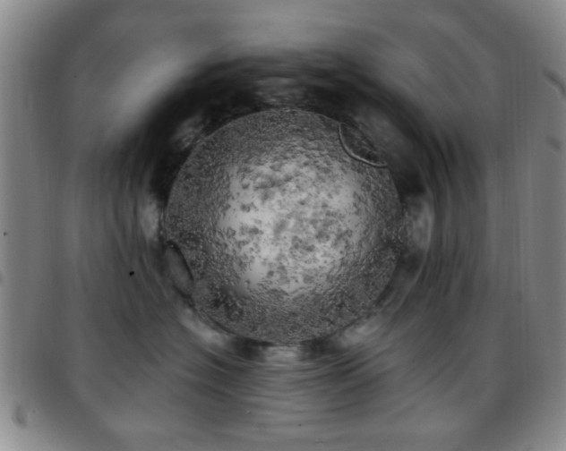 X0000097810574200803141121