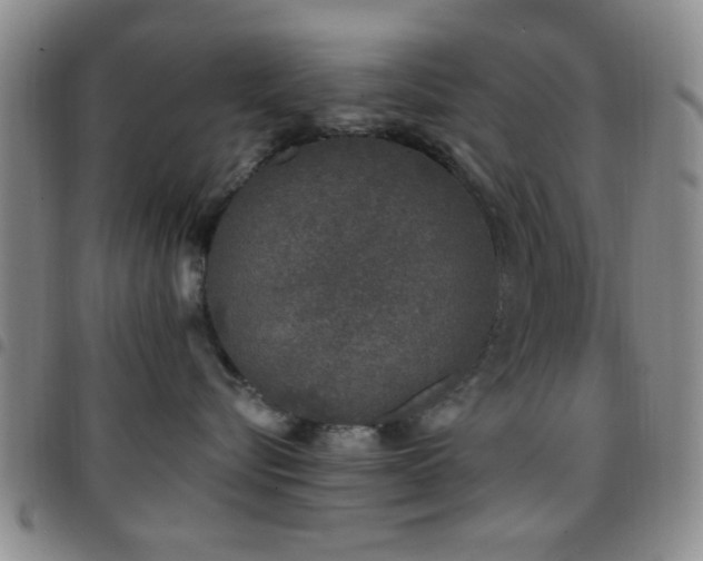 X0000097810576200803141121