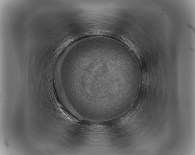 X0000097810577200803141121