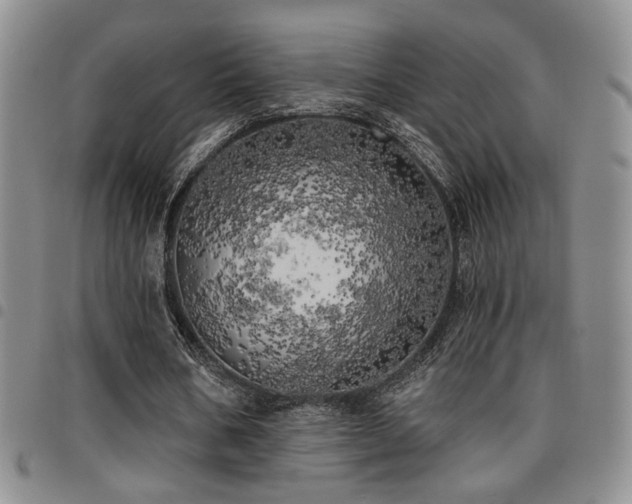 X0000097810578200803141121