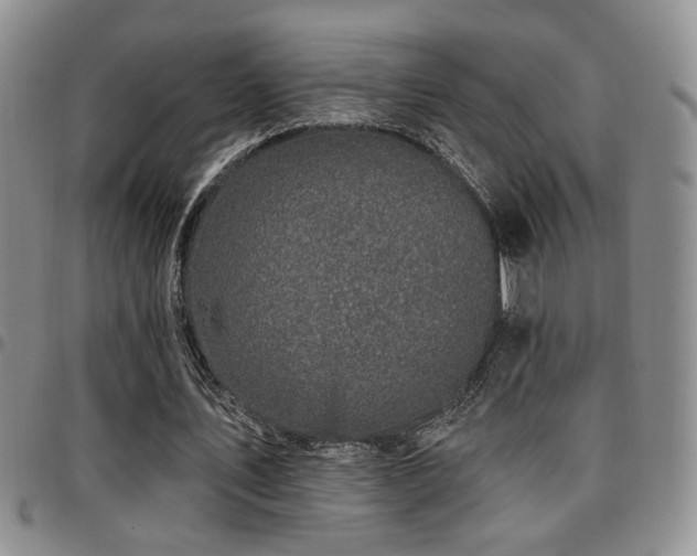 X0000097810579200803141121