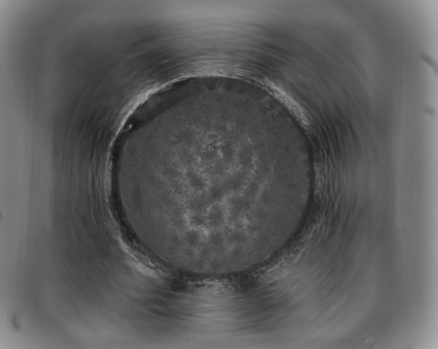 X0000097810580200803141121