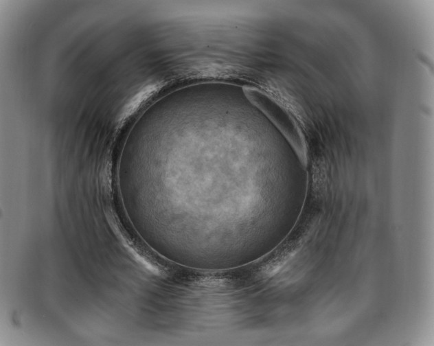 X0000097810581200803141121