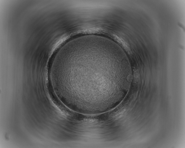 X0000097810582200803141121